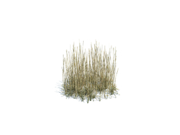 秋天干茅草simple grass medium v2