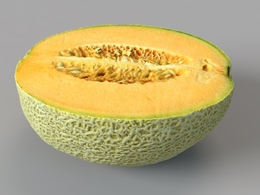 半块哈密瓜C4D模型 Half Melon 3d model