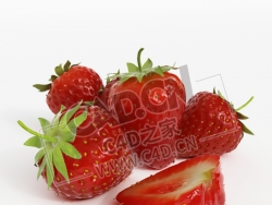 草莓切开的草莓水果C4D模型 strawberry