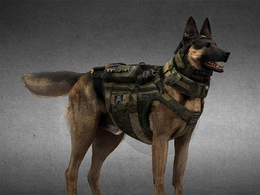 警犬狼狗v2-cod-riley