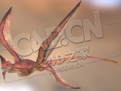 C4D飞翔的伊克兰龙模型 Ekrane_Creature