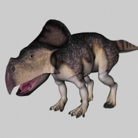 白垩纪恐龙C4D模型：原角龙 Protoceratops
