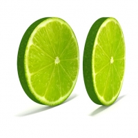 切片的青柠檬3D模型 lime thin slice