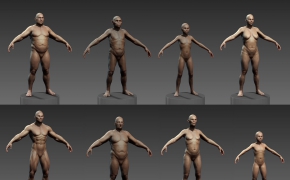 ZB雕刻人体模型 Human ZBuilder for Zbrush
