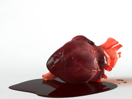 人体心脏3D模型 3DOcean – Brave Heart – 3D model of human heart