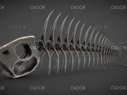 C4D鱼骨架化石模型 Fish 3d model
