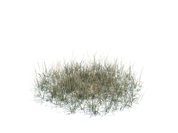 杂草模型simple grass large v3