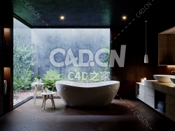 C4D现代浴室卫生间场景3D模型Tropical Bathroom