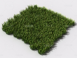 野草植物C4D模型 pattern_wild-grass-10