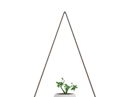 绳索吊架绿色植物c4d模型下载