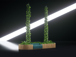 商超装饰：爬藤绿植