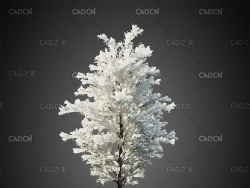 长满雾凇冰花的树木C4D模型HeliosVegetation Vol.7