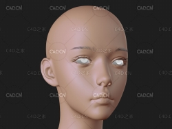 女生头部模型 Cuberbrush - Cute Girl Head