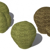 3款珊瑚石C4D模型 Favia favus Groved Mosaic Coral