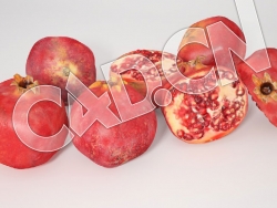 C4D石榴水果模型 Pomegranate 3d Model