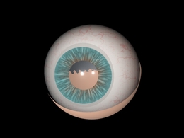 C4D人眼睛 眼球 眼珠模型工程文件 Eyeball 3d model