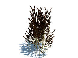 绿地草坪小草植物杂草模型下载simple grass v3