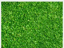 绿色草地材质贴图 Lawn