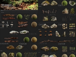 森林灌木丛 苔藓 岩石 树叶 树枝 树桩和蘑菇3D模型 Quixel – FOREST UNDERGROWTH
