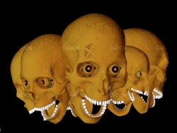 C4D骷髅头模型 Liquid Skull