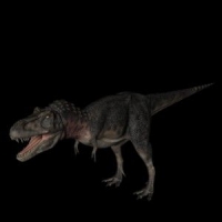 恐龙3D模型：特暴龙（Tarbosaurus）
