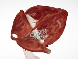 心脏解剖肋下C4D模型下载 Cardiac Anatomy-Subcostal 4 Chamber Echo Plane