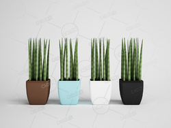 四盆芦荟绿植盆栽模型下载
