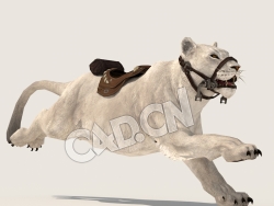 C4D雌狮母狮子奔跑模型（包含骨骼绑定动画) lioness_Run_F 3D Model