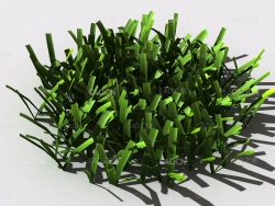 草坪草地绿草植物C4D模型 lawn-grass-h2
