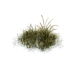 草地绿草植物杂草模型下载simple grass v3