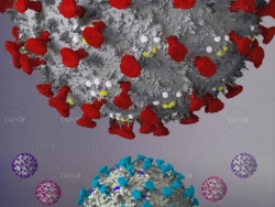 冠状病毒C4D动画模型 Corona virus(c4d+ae+视频)