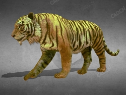 老虎 tiger-rigged-with-many-different-animations