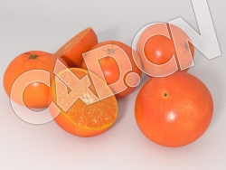 C4D柑橘橘子红桔水果模型 Tangerines 3d Model