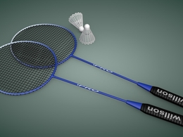 羽毛球C4D模型 Badminton 3d model