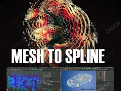 C4D网格边多边形和轮廓转样条线插件RocketLasso Mesh To Spline v1.0 Win/Mac