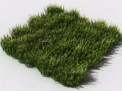 野草植物C4D模型 pattern_wild-grass-7