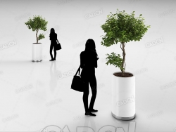 盆栽小树C4D模型