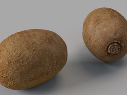 奇异果 猕猴桃C4D模型 kiwifruit 3d model