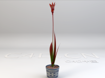 盆景花卉模型 Bonsai flowers model