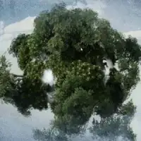 C4D/Vue结合教程 Using Vue xStream in Cinema 4d