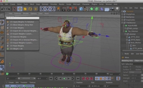 C4D权重脚本 Cineversity - CV-Weight Scripts cinema 4D