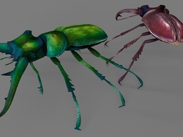 锹形甲虫 鹿角虫C4D模型 Stag Beetle 3d model