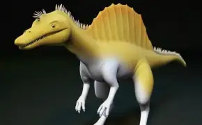 Cinema 4D恐龙建模视频教程 Dinosaur modeling video tutorial