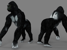 银背大猩猩C4D模型 Gorilla Silverback 3d model
