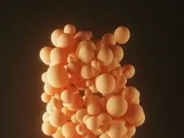 练习作品