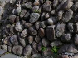 鹅卵石墙立体3d扫描模型 cobble wall