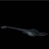 恐龙3D模型：薄片龙(Elasmosaurus)