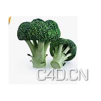 C4D蔬菜模型-菜花模型 Broccoli