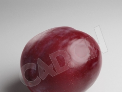 C4D紫色李子水果模型 Plum