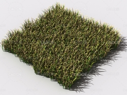 野草植物C4D模型 pattern_wild-grass-15